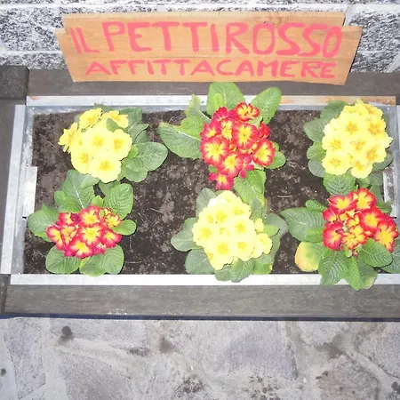 I Pettirossi ゲストハウス フラボーザ・ソッターナ