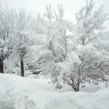 I Pettirossi Frabosa Sottana