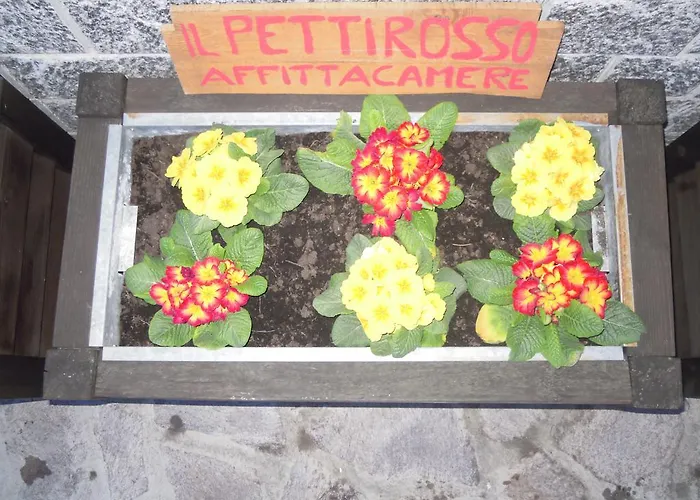 I Pettirossi ゲストハウス フラボーザ・ソッターナ